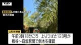 山形新幹線　倒木で一時運転見合わせ　4470人に影響　|　山形のニュース│TUYテレビユー山形