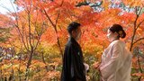 「紅葉のトンネル」「神秘的」猛暑日の連続記録を更新した太宰府・竈門神社の秋 | 福岡のニュース|RKB NEWS|RKB毎日放送