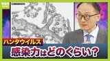 【ハンタウイルス】乗客下船で感染拡大は?新型コロナのような大流行は「現時点では可能性低いが変異に注視」「感染は家族など長時間密接している場合が多い」 渡航医学の専門家解説|TBS NEWS DIG