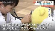 白衣姿で本物体験!聴診器にドキドキ…園児が医者に変身する「ぬいぐるみ病院」の学び 富山 | 富山のニュース|天気・防災|チューリップテレビ