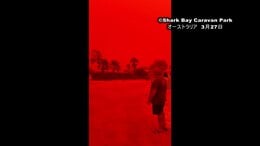 「この世の終わりのようだ」オーストラリアの空が血のように赤く　一体なにが？|TBS NEWS DIG