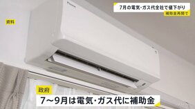 電気代と都市ガス代 7月は全社で値下がり 東電616円↓ 東京ガス315円↓ 政府の補助金の再開で|TBS NEWS DIG