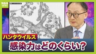 【ハンタウイルス】乗客下船で感染拡大は？新型コロナのような大流行は「現時点では可能性低いが変異に注視」「感染は家族など長時間密接している場合が多い」　渡航医学の専門家解説　|　MBSニュース | 関西の最新ニュースを分かりやすく。