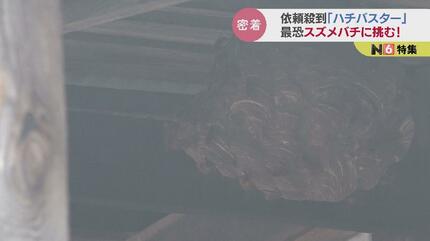最恐スズメバチに挑む！依頼殺到の「ハチバスター」駆除の現場に密着