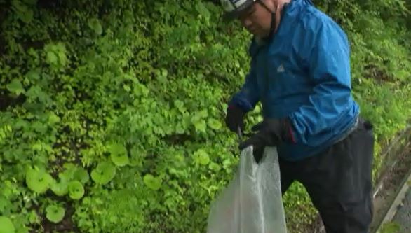 40人で軽トラック2台分のゴミを収集　道路工事を請け負う業者が中心になって道路脇の吸い殻などを拾う「クリーン作戦」　|　SBC NEWS | 長野のニュース | SBC信越放送