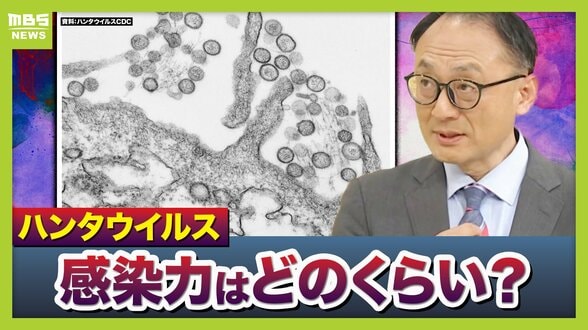 【ハンタウイルス】乗客下船で感染拡大は？新型コロナのような大流行は「現時点では可能性低いが変異に注視」「感染は家族など長時間密接している場合が多い」　渡航医学の専門家解説　|　MBSニュース | 関西の最新ニュースを分かりやすく。