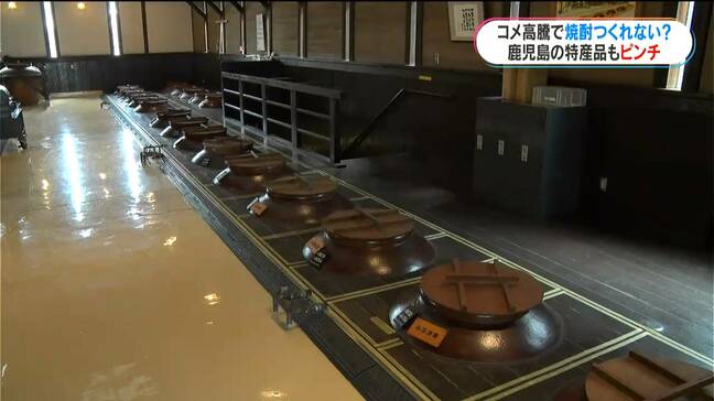 コメ高騰は“鹿児島の特産品”にも影響 食卓だけじゃなく基幹産業にも暗い影… 鹿児島|TBS NEWS DIG