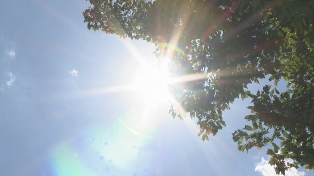 梅雨入りの平年日にあたる4日は晴天　県内各地で気温が上がり日田と犬飼で真夏日　熱中症に注意　大分|TBS NEWS DIG