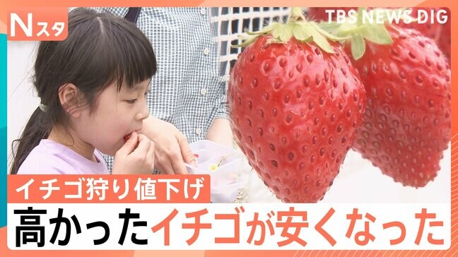 「今週がラストチャンス」高かったイチゴが安くなった！イチゴ狩りも値下げ、スーパーで300円台の特売に【Nスタ】|TBS NEWS DIG