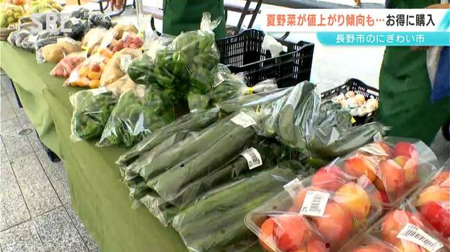 野菜を手ごろな価格で販売する「市」が人気　気温の乱高下などの影響で一部の野菜には値上がりの波も…買い物客の食卓を応援　長野|TBS NEWS DIG