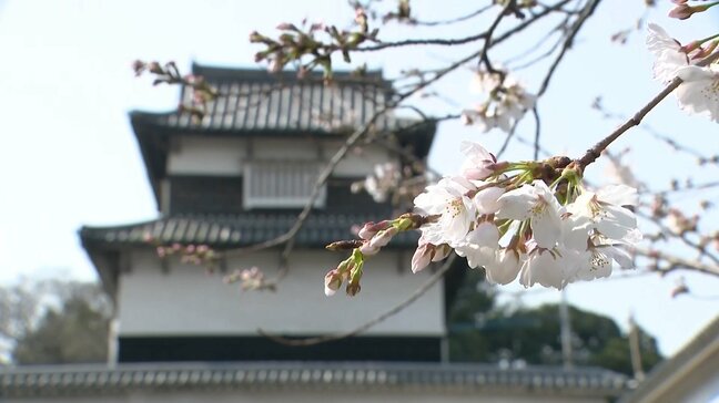 「春が来た」「ビール飲みたい」早くも賑わう「花見」 経済効果はコロナ禍前の2倍を予測 トレンドは”ひとり・外国人”1980年代とは様変わり!?「福岡城さくらまつり」開幕|TBS NEWS DIG