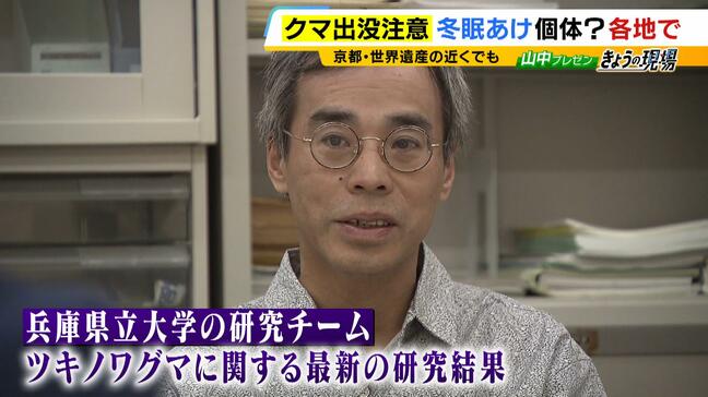 近畿のクマ“秋の主食”はドングリではない！？『液果』というベリー類を食べていることが判明　兵庫県立大のチームが北部の個体群を調査|TBS NEWS DIG