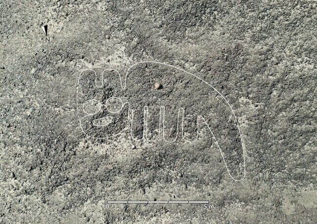 【画像多数】かわいいネコも！？山形大学がナスカの地上絵を新たに248点発見　謎の解明に前進…絵の意味は「メッセージ性」と「物語性」とみて研究を進める|TBS NEWS DIG