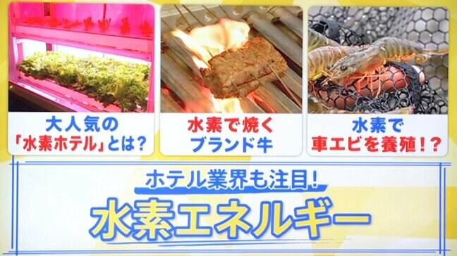 「水素調理」に「水素栽培」…旅館やホテルが続々“水素”を導入するワケとは？【THE TIME,】|TBS NEWS DIG