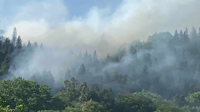 【速報】南部町で山林火災が発生中　「木が何本か燃えている」縦300ｍ・横500ｍの範囲が燃えている状況　県防災ヘリしらかみが上空から消火剤　「林野火災注意報」が発表中|TBS NEWS DIG