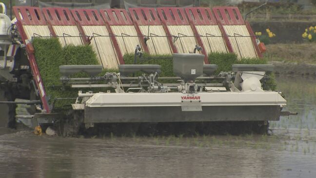 「おいしいコメを届けたい」安曇野で早くも田植え始まる　コメ不足で長野市の飲食店では影響も…|TBS NEWS DIG