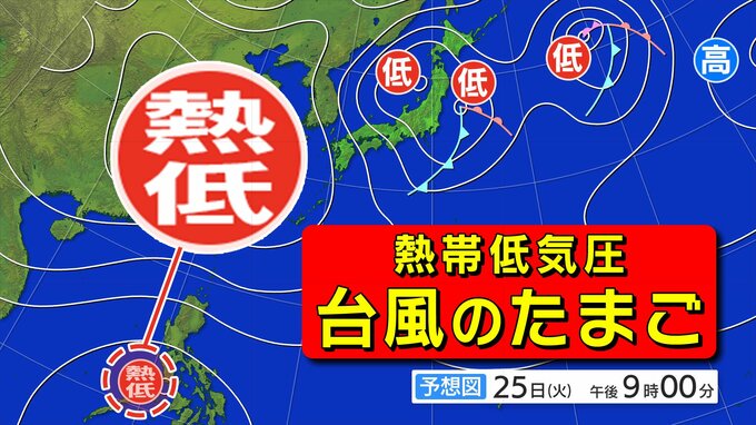 【台風情報】「台風のたまご＝熱帯低気圧」発生 ２４時間以内に『台風』へ【雨風シミュレーション２５日（火）～１２月４日（木）／ 全国各都市の週間予報】気象庁の進路予想  台風情報２０２５|TBS NEWS DIG