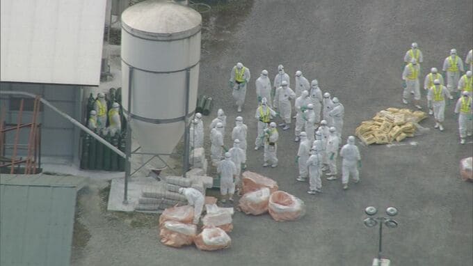 「普段より多くのニワトリが死んだ」北海道の養鶏場で高病原性鳥インフルエンザ確認 約46万羽の殺処分始まる 今季全国初　|　北海道のニュース｜HBC北海道放送