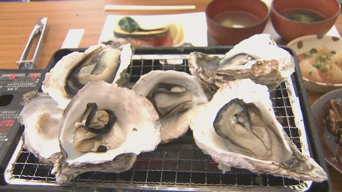 「日豊海岸岩ガキまつり」9日スタート　ぷりぷりで濃厚…佐伯市内9店舗で自慢の料理を提供　|　大分のニュース｜OBS NEWS｜大分放送