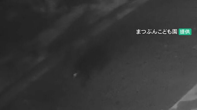 こども園の防犯カメラに親子のクマ… 「唸り声を上げて威嚇してきた」翌日昼に2頭を駆除 福井県で初の緊急猟銃 | 石川県のニュース|MRO北陸放送