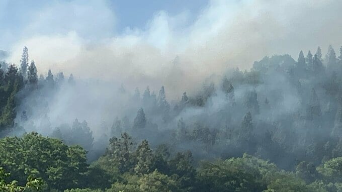 【速報】南部町で山林火災が発生中　「木が何本か燃えている」縦300ｍ・横500ｍの範囲が燃えている状況　県防災ヘリしらかみが上空から消火剤　「林野火災注意報」が発表中|TBS NEWS DIG