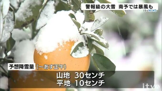 ３４センチの積雪も あす明け方に掛け大雪暴風や高波など警戒を 愛媛　|　愛媛のニュース - Nスタえひめ｜あいテレビは6チャンネル