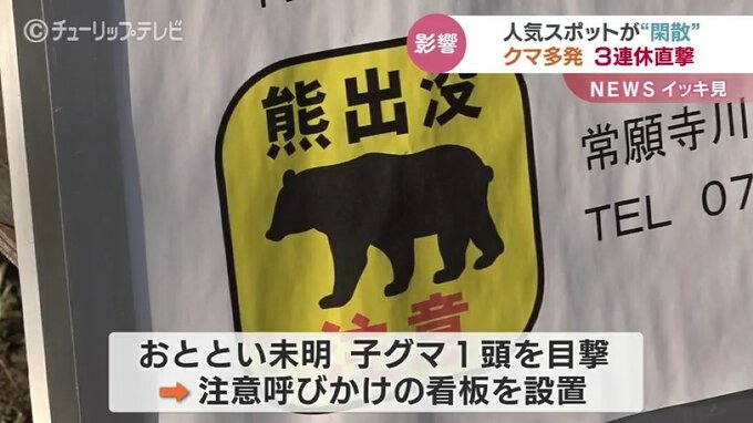 「断然！人通りが少ない…」連休初日も人気スポットが “閑散” 近くではクマ出没が相次ぎ行楽の秋を直撃　富山|TBS NEWS DIG