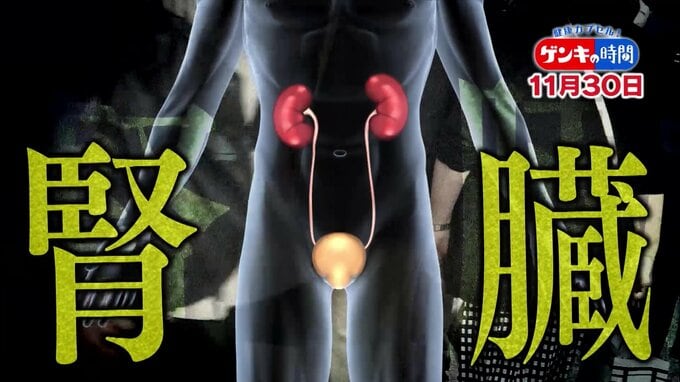 「腎臓」悪くなると“老化”も進む!?…深い関わりが明らかに！衰えを早期発見！腎機能をキープする方法　|　名古屋・愛知・岐阜・三重のニュース【CBC news】 | CBC web