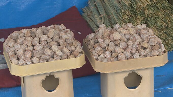 「厄が払われて良い年を迎えられる」大福梅袋づめ作業ピークに　|　山口のニュース・天気・防災｜tys NEWS｜ｔｙｓテレビ山口