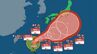 【台風情報】強い勢力で最大瞬間風速60mへ　関東など本州影響か1日には伊豆諸島を中心とする予報円へ【雨・風シミュレーション10月7日（水）まで】台風26号気象庁の進路予想・週間天気予報|TBS NEWS DIG