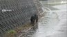民家前の路上にクマらしき排せつ物の塊が…半月前には近くでクマ1頭の目撃情報も 浜松市が警戒【速報】　|　静岡のニュース | SBSNEWS | 静岡放送