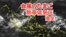【台風情報】11月下旬なのに...「台風のたまご」熱帯低気圧が発生　あす（29日）にも台風に発達か　今後の進路は？【気象庁 28日午後1時15分発表】　|　岡山・香川のニュース | 天気 | RSK山陽放送