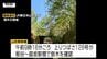 山形新幹線　倒木で一時運転見合わせ　4470人に影響　|　山形のニュース│TUYテレビユー山形
