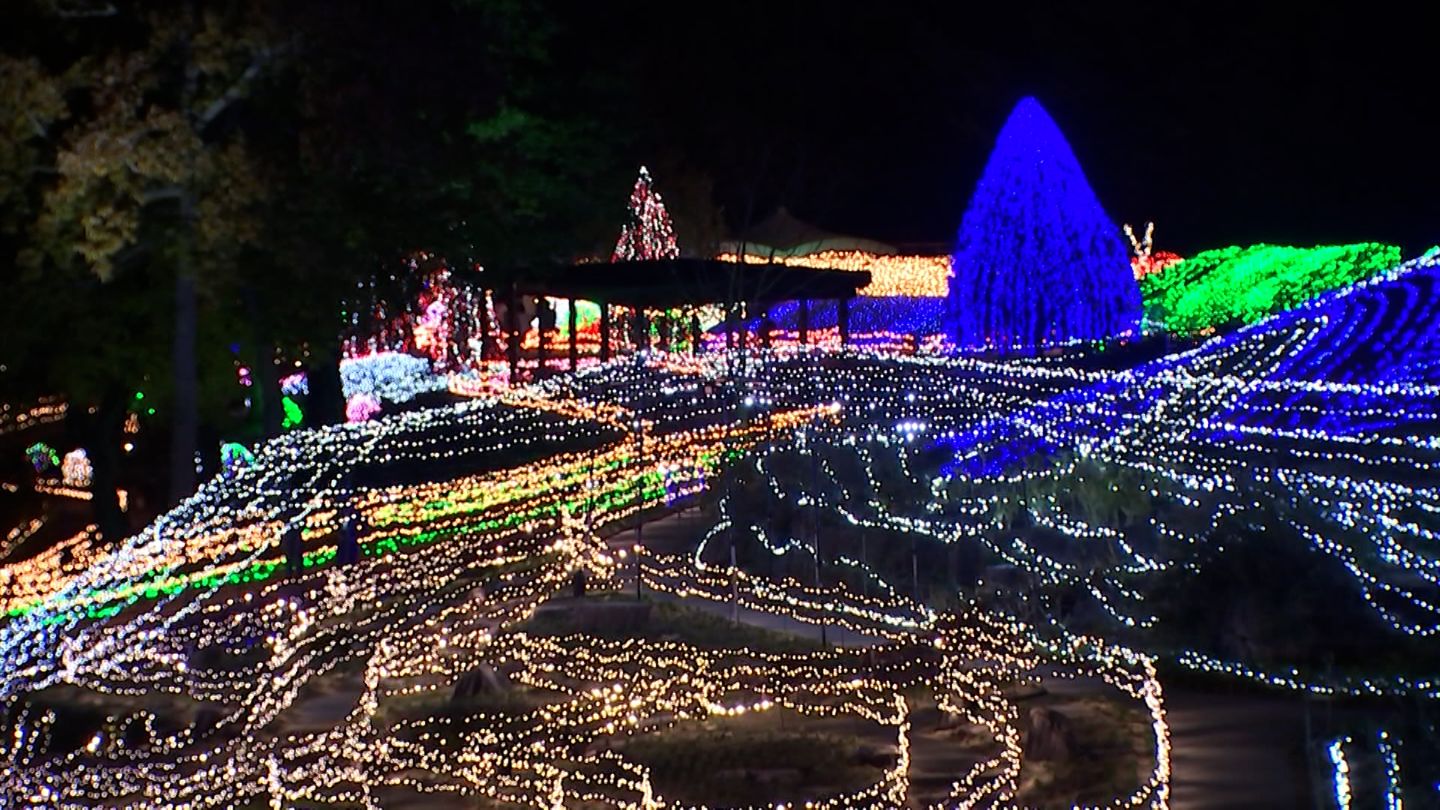 約65万球のLED電球で彩る「国営讃岐まんのう公園」冬の