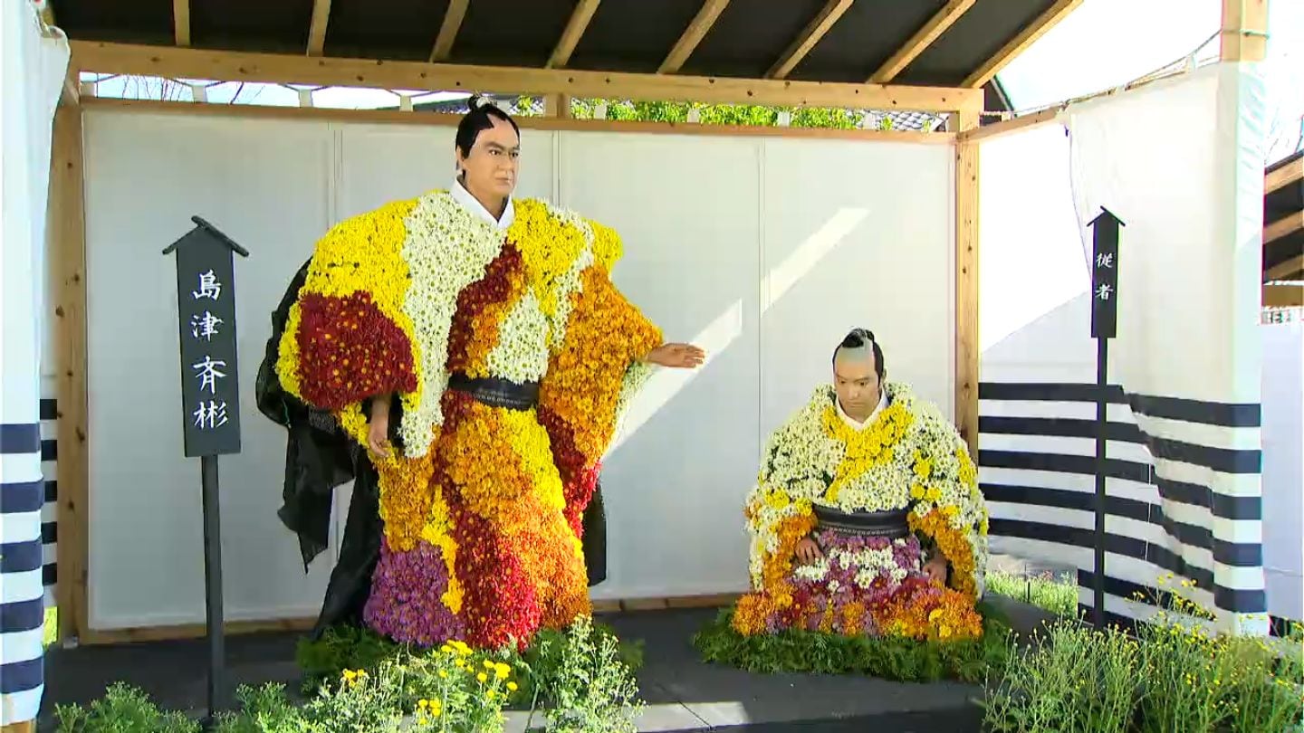 1万4000本色鮮やか 秋恒例の「菊まつり」鹿児島市の仙巌園 | 鹿児島の