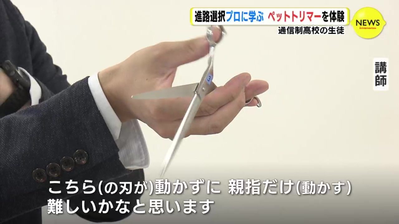 プロに学ぶ 通信制高校の生徒がペットトリマー体験 広島 Rccニュース 進路選択の幅を広げてもらおうと 広島市に ｄメニューニュース Nttドコモ