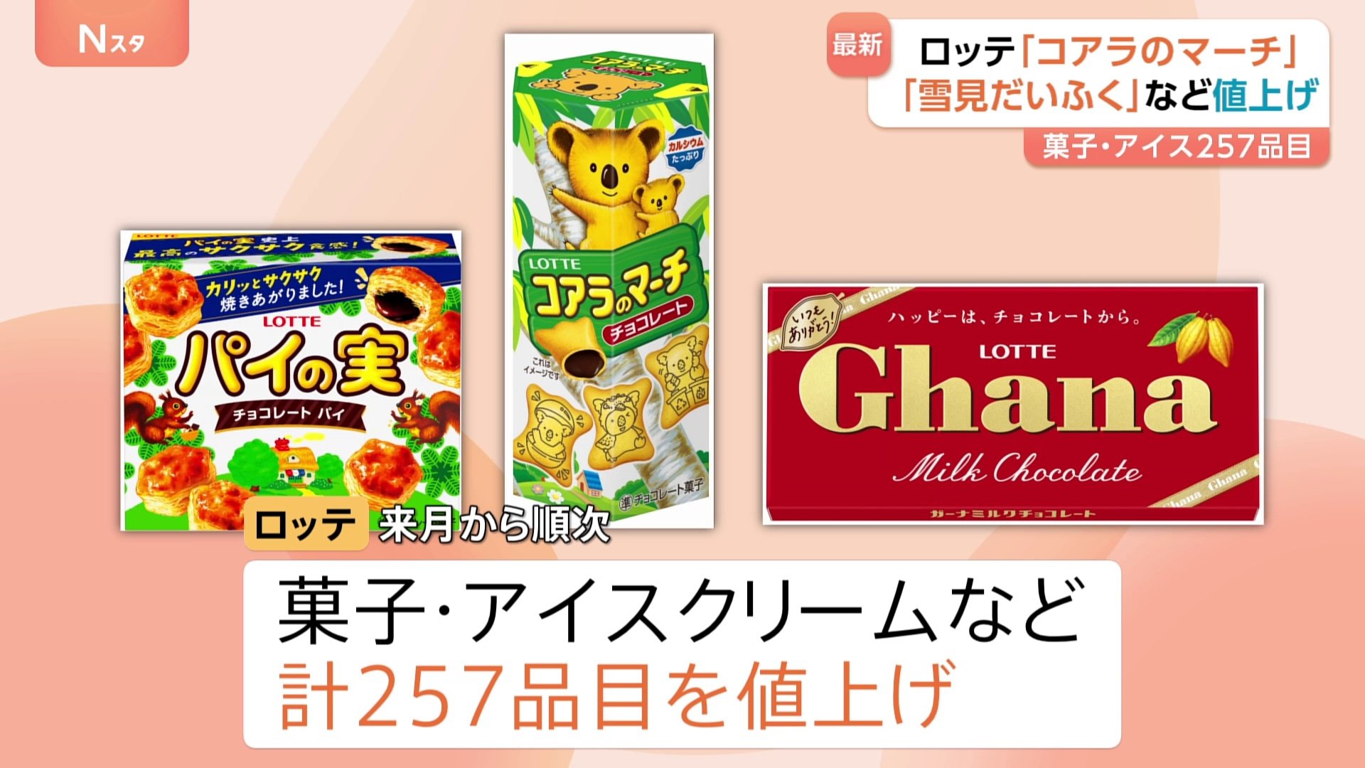 冬休 お菓子まとめ売り チョコ グミ チップス パイ ピュレグミ コアラ