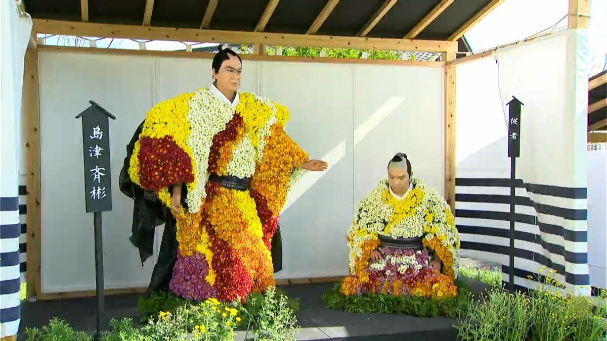 1万4000本色鮮やか 秋恒例の「菊まつり」鹿児島市の仙巌園 | 鹿児島の