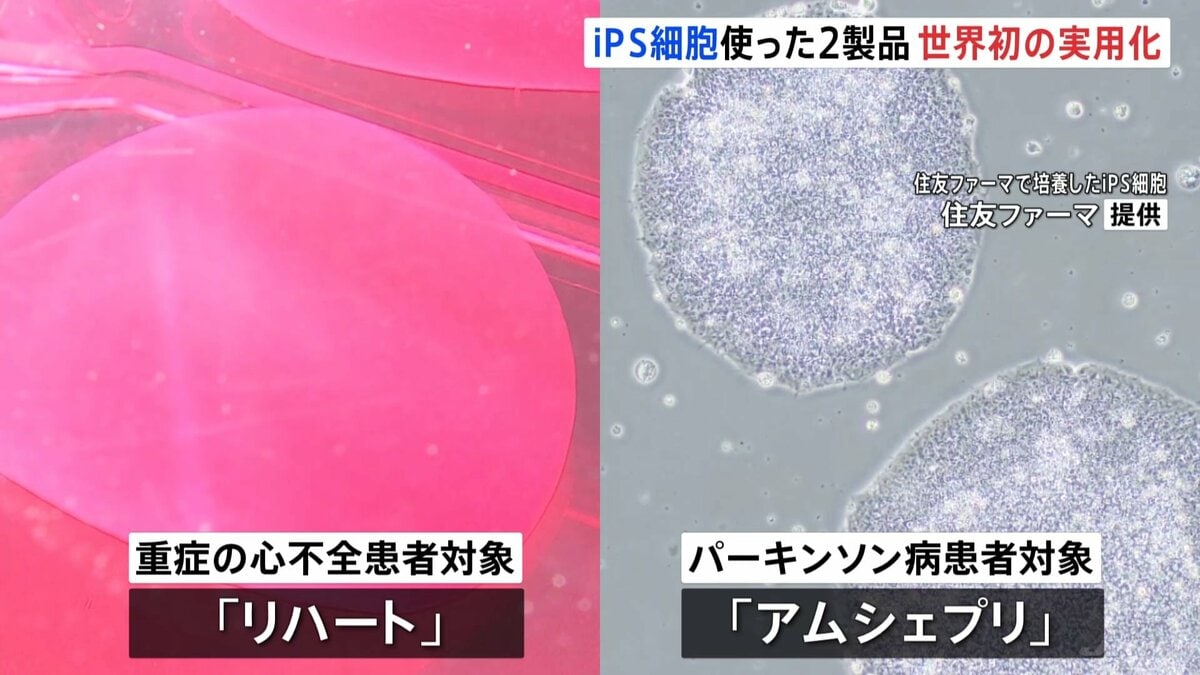 4月12日頃から「この時期としては10年に一度程度しか起きないような著しい高温」になる可能性 気象庁が「高温に関する早期天候情報」発表