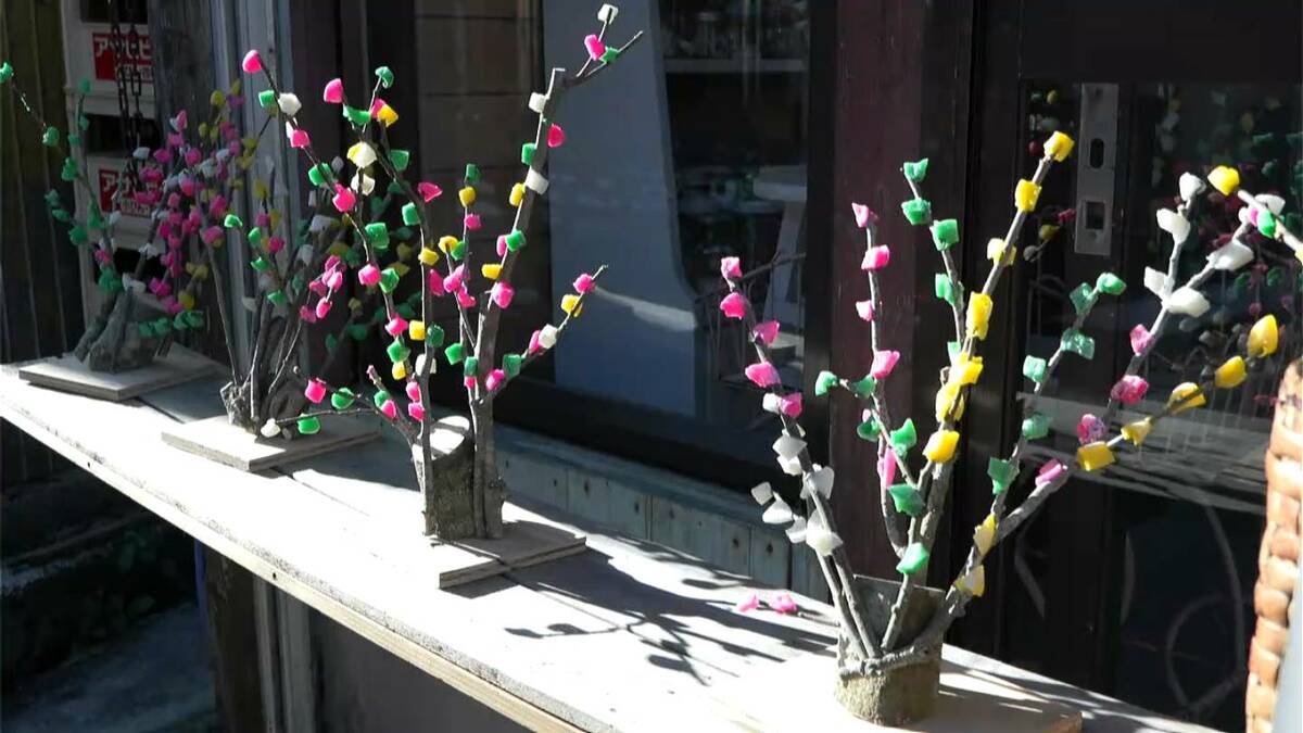 奄美の小正月の風習「ナリムチ」枝にカラフルな餅飾り 家内安全や五穀