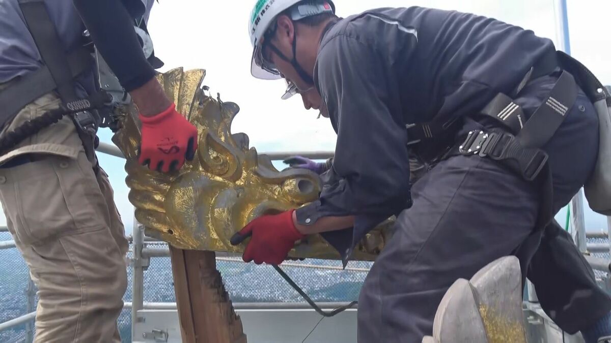岐阜城のしゃちほこ 金箔はり替えのため約30年ぶりに地上へ  ｢一生で見られるかどうか｣｢迫力にびっくり｣ 来年2月ごろ再び金華山へ