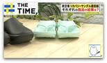 毎日の足元が快適に！？新たな定番「リカバリーサンダル」とは？【THE TIME,】 |TBS NEWS DIG