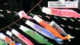のどかな田園地帯に約1000匹のこいのぼり　日南市下塚田地区|TBS NEWS DIG