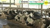 牛も夏バテで熱中症!?　水の飲み過ぎで「牛乳のおいしさ」低下のワケ　約8割減の酪農家の苦悩「価格転嫁が追いつかない」|TBS NEWS DIG