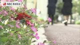 長崎BizPORT周辺の遊歩道を花壇で鮮やかに 長崎市の「まちぶらプロジェクト」に認定 | 長崎のニュース | 天気 | NBC長崎放送