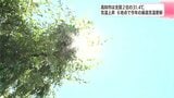 全国2位の31.4℃ 高知市は30度超え真夏日に 6地点で今年の最高気温更新 | 高知のニュース・天気|KUTV NEWS | KUTVテレビ高知