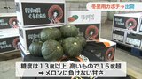 メロンより甘い!“阿知須くりまさる”出荷 | 山口のニュース・天気・防災|tys NEWS|tysテレビ山口