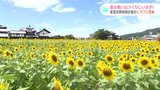 高知県安芸市のシンボル、野良時計前のヒマワリが見ごろ 地元グルメも堪能 夏の思い出づくりに | 高知のニュース・天気|KUTV NEWS | KUTVテレビ高知