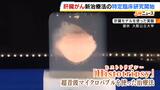 衝撃波で腫瘍を破壊「メスも針も使わない」肝臓がんの新治療法　大阪公立大の研究チームが特定臨床研究を開始　来年中の薬事承認を目指す|TBS NEWS DIG