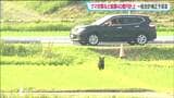 ハンター養成用射撃場の整備やクマの通り道「河川敷」の草刈りに9億円超 宮城県が40億円補正予算案を提出へ | 宮城のニュース│tbc NEWS│tbc東北放送